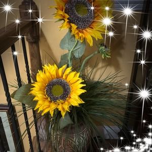 Meet your Posher, Mayra